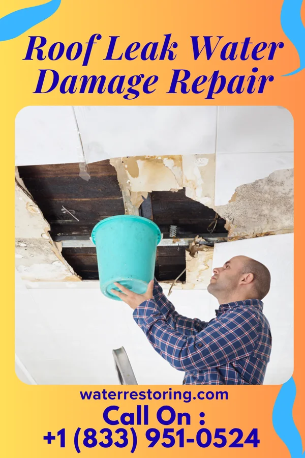 Roof Leak Water Damage Repair in Arab, AL